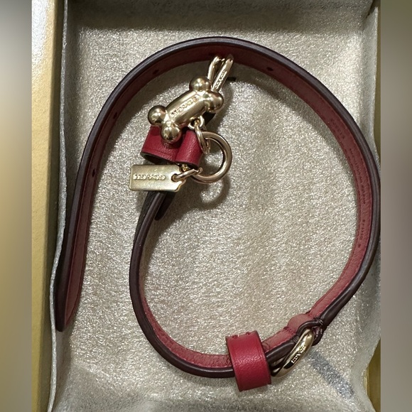 COACH PET DOG COLLAR AND LEASH set brown black red apple New Pretty last set - Picture 3 of 16